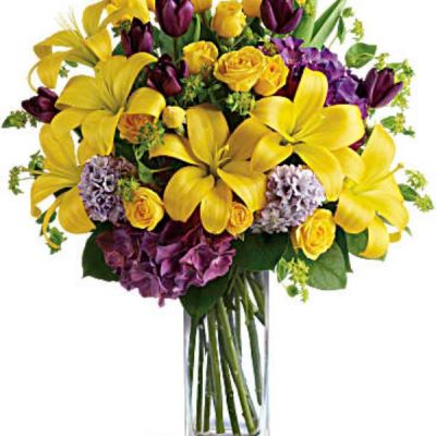 <div id="mark-3" class="m-pdp-tabs-marketing-description">Celebrate the dawn of a new season with this fresh burst of color. A wide assortment of bright yellow and purple blooms are delivered in a statement vase - perfect for the spring or summer transition.</div>
<div id="desc-3">
<ul>
 	<li>Yellow flowers, including asiatic lilies, roses and tulips, are joined with the pretty purple blooms of hydrangea, tulips and hyacinth.</li>
 	<li>Greens include bupleurum and salal. Presented in a tall, clear glass vase.

<hr />

</li>
</ul>
</div>