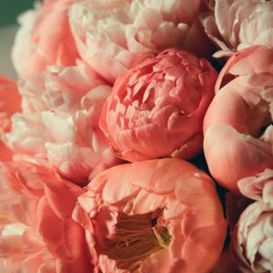 Pink Florist Choice