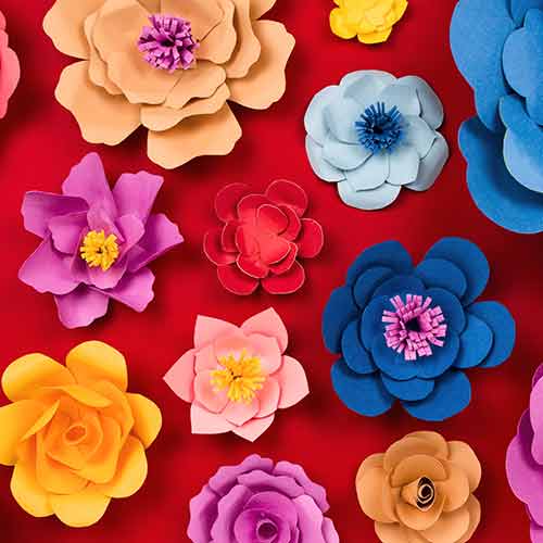 Shop for flower arrangements by color
