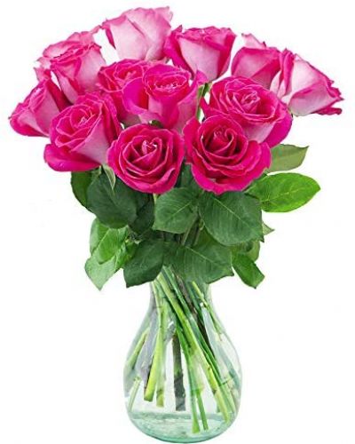 <p>Your Love & Devotion delivered. Surprise your special one with this gorgeous arrangement of hot pink roses available in one dozen. 18 roses or two dozen wonderful blooms.</p>
<p>It’s an unforgettable display of your timeless love that they'll always remember.</p>