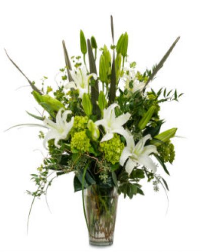 Fresh and festive, this gorgeous display features an elegant combination of premium foliage, green hydrangea and hybrid lilies in a clear vase.
