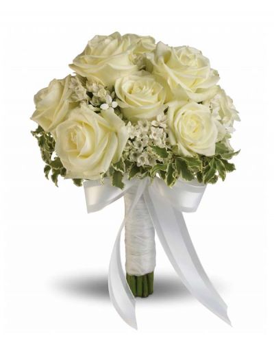 Delicate white bouvardia and pittosporum lend a lacy look to this breathtaking bouquet of white roses wrapped with sheer organza ribbon.