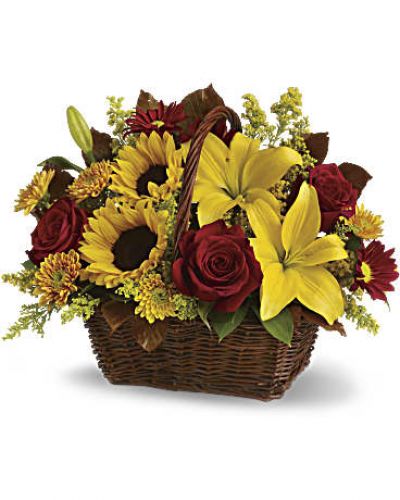 <div id="mark-3" class="m-pdp-tabs-marketing-description">Send warm autumn sunshine to a special friend or relative with this golden gift basket of flowers. Yellow lilies and sunflowers make everyone smile!</div>
&nbsp;
<div id="desc-3">
<ul>
 	<li>A dark, handled basket presents bright fall bouquet of yellow asiatic lilies, yellow sunflowers, gold cushion mums, burgundy daisies, yellow solidaster, brown copper beech leaves and rich green salal.</li>
</ul>
</div>